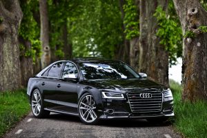 AUDIS8+